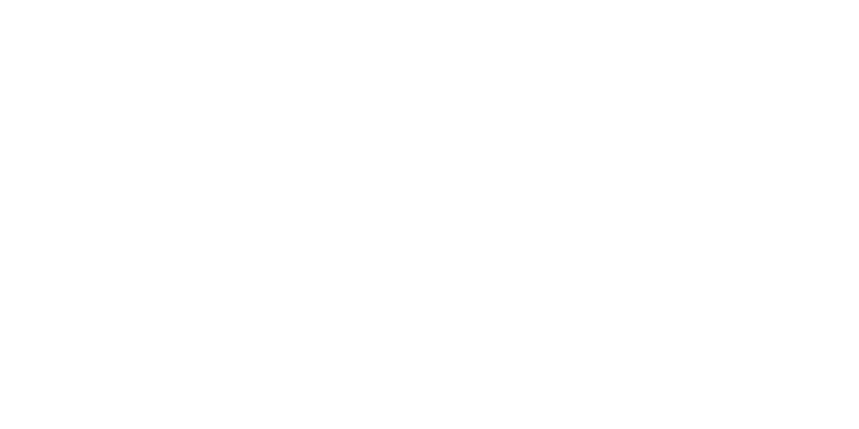 Logo_Vivara